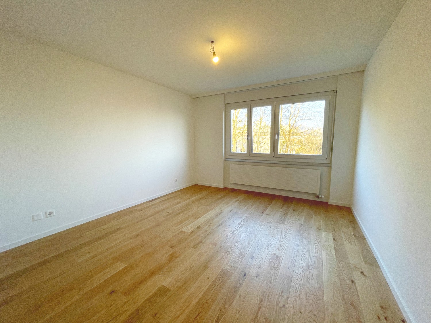 3 ½ rooms attic flat, photo 5 sur 10