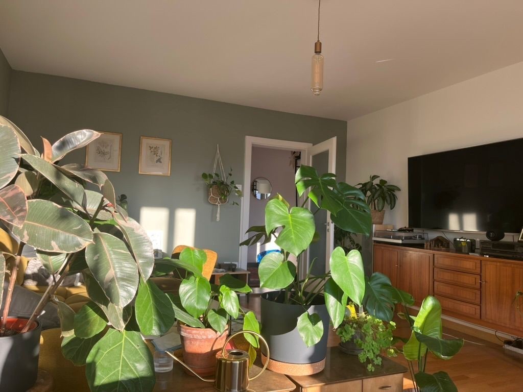 Room in a shared flat, Foto 2 von 10