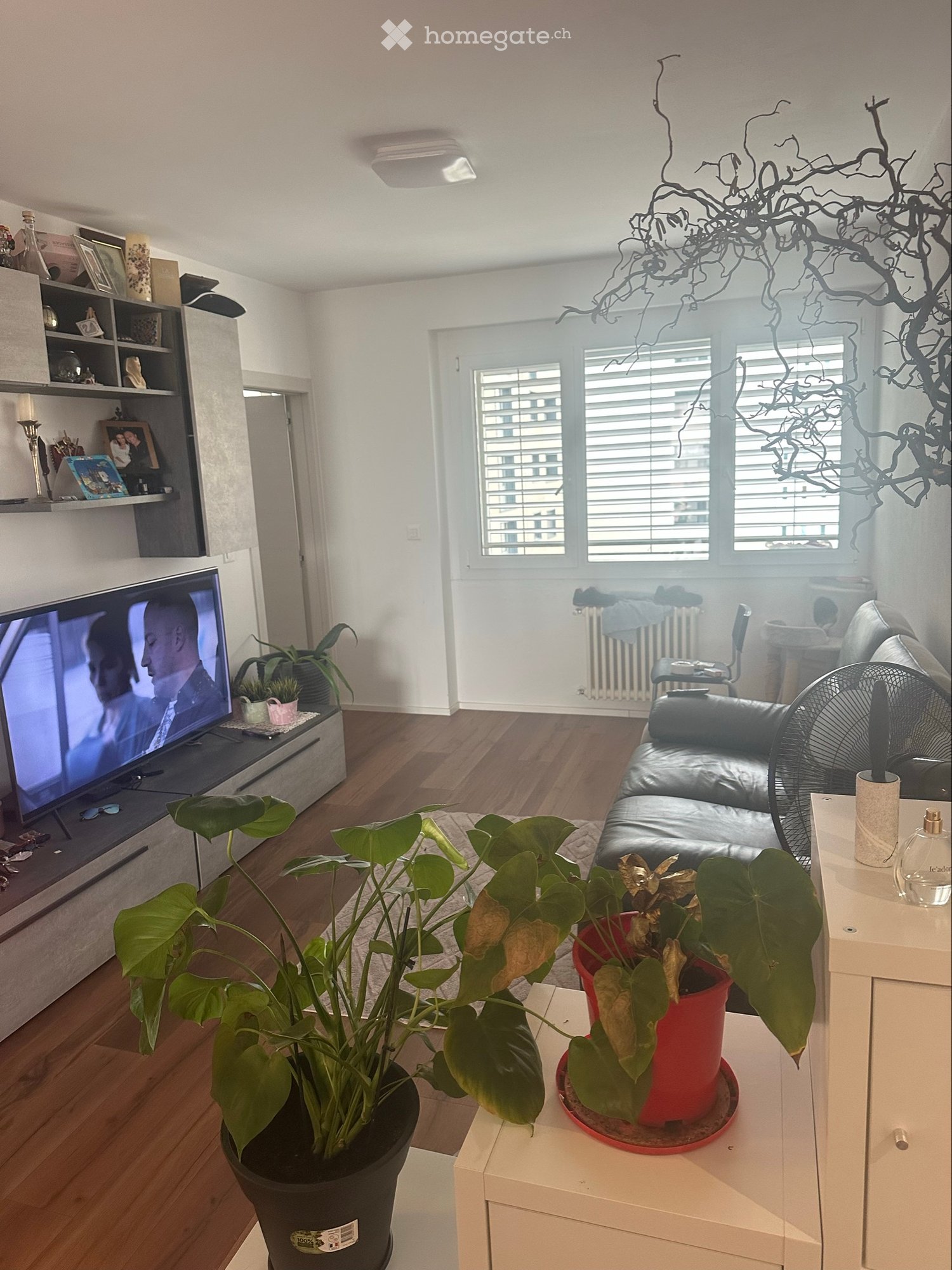 3-Zimmer-Wohnung, Foto 5 von 5