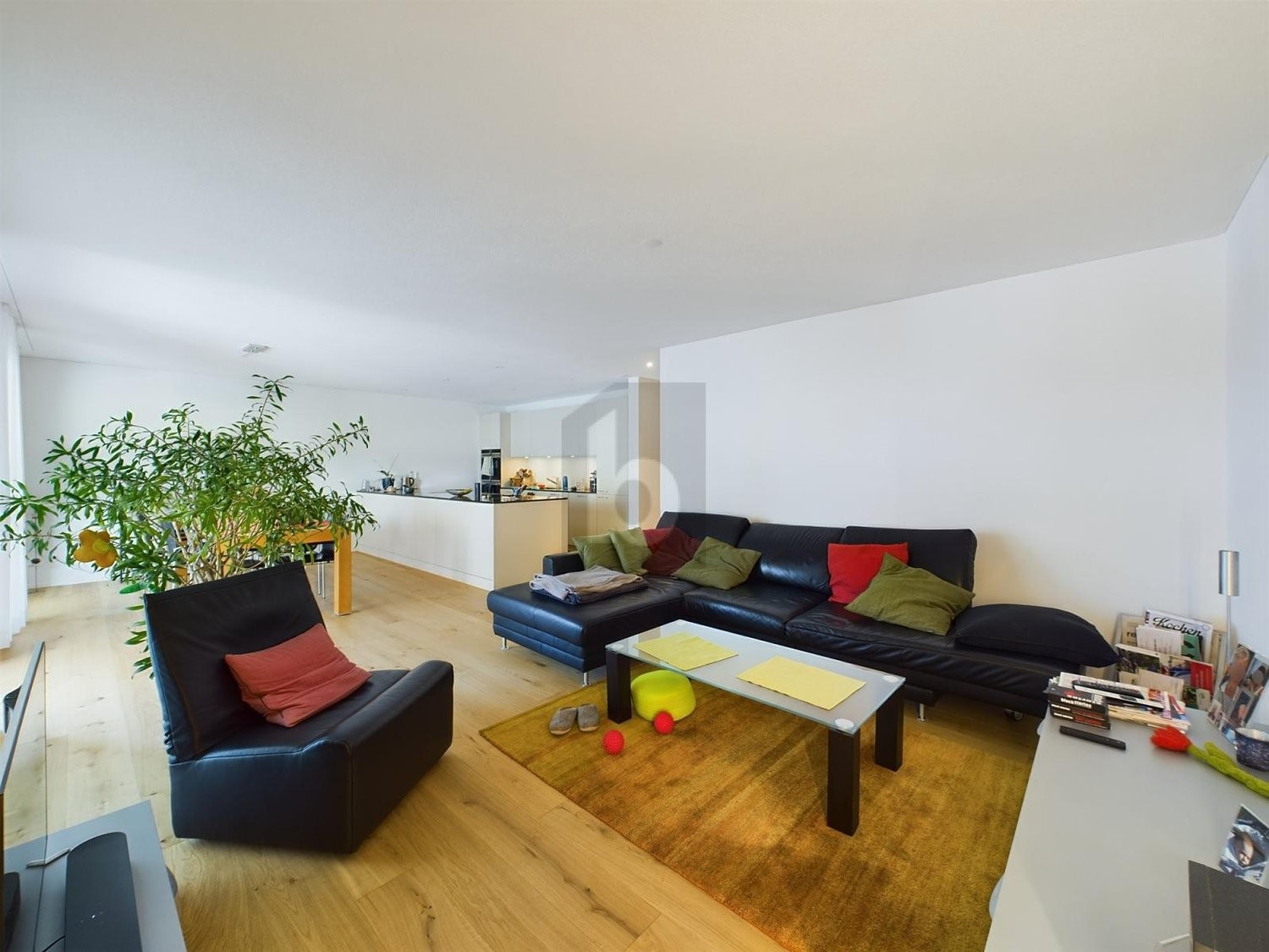 4 ½ rooms apartment