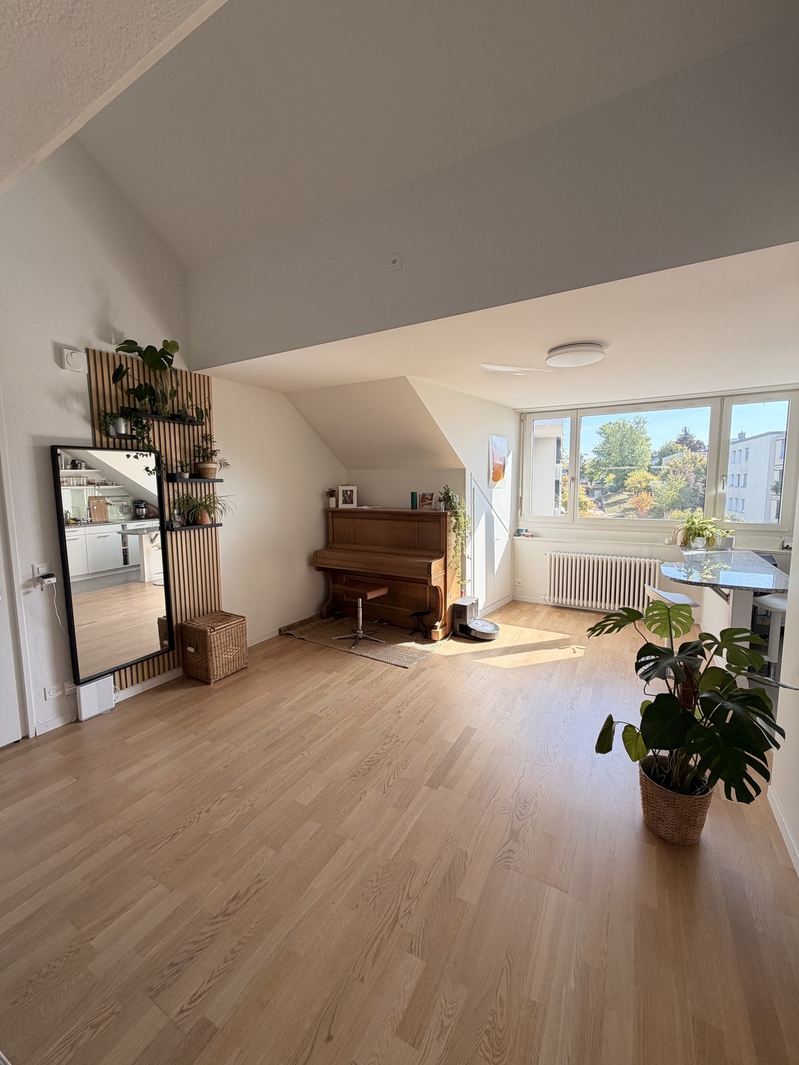 1 ½ rooms apartment