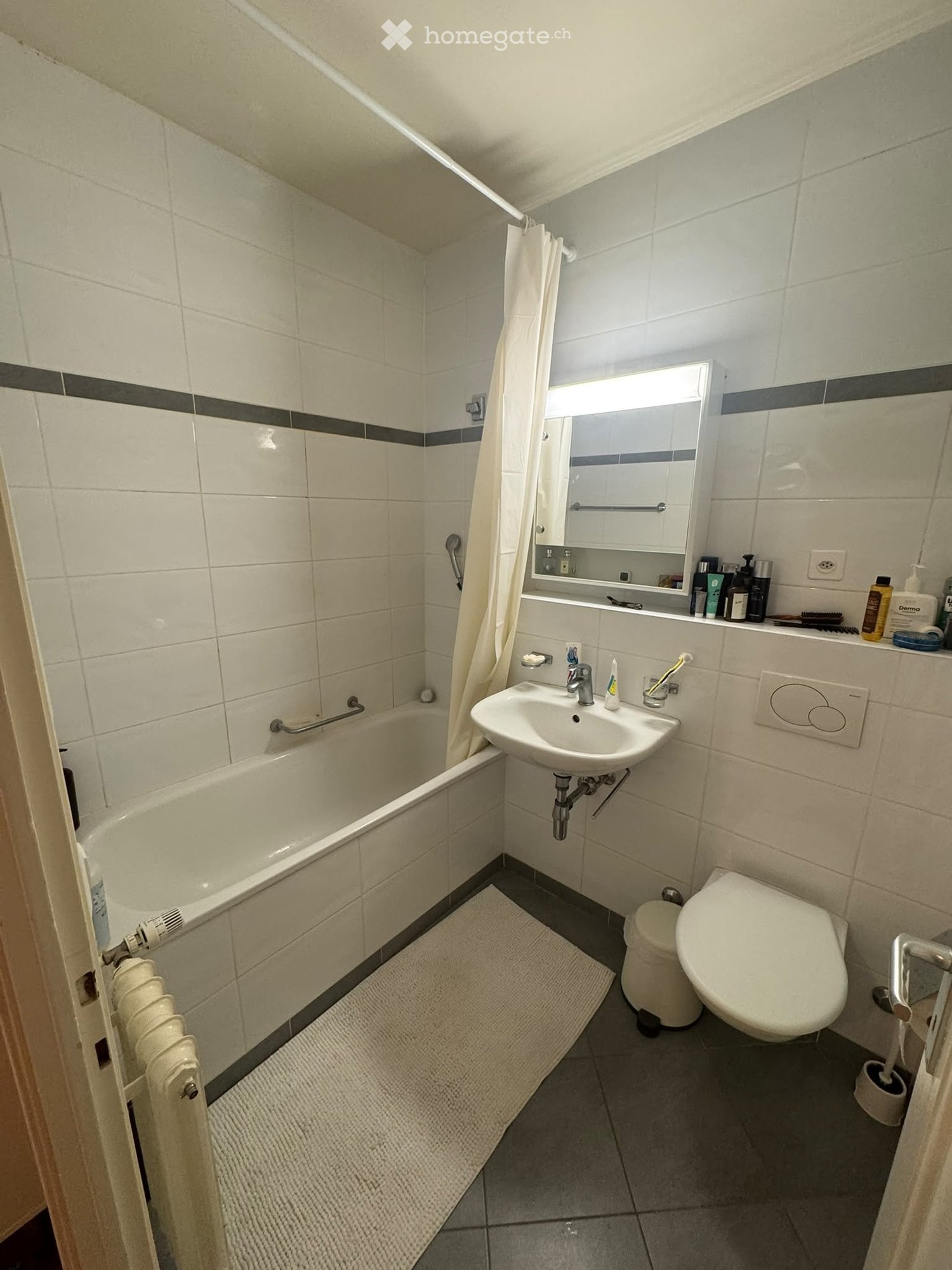 1 ½ Zimmer Wohnung