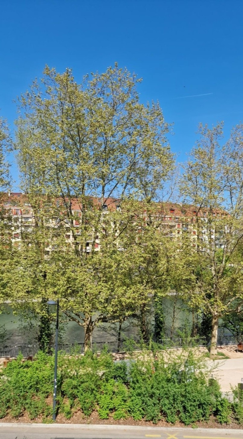 1-Zimmer-Wohnung, Foto 5 von 5
