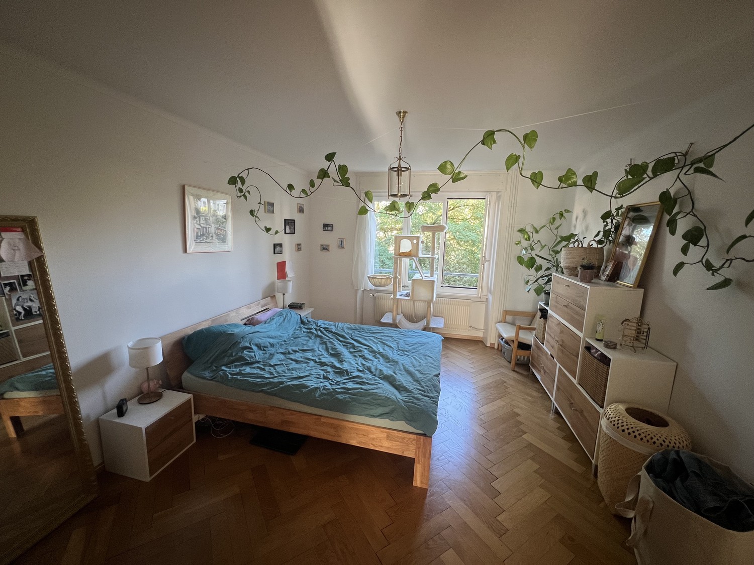 2 ½ rooms apartment, Foto 4 von 10