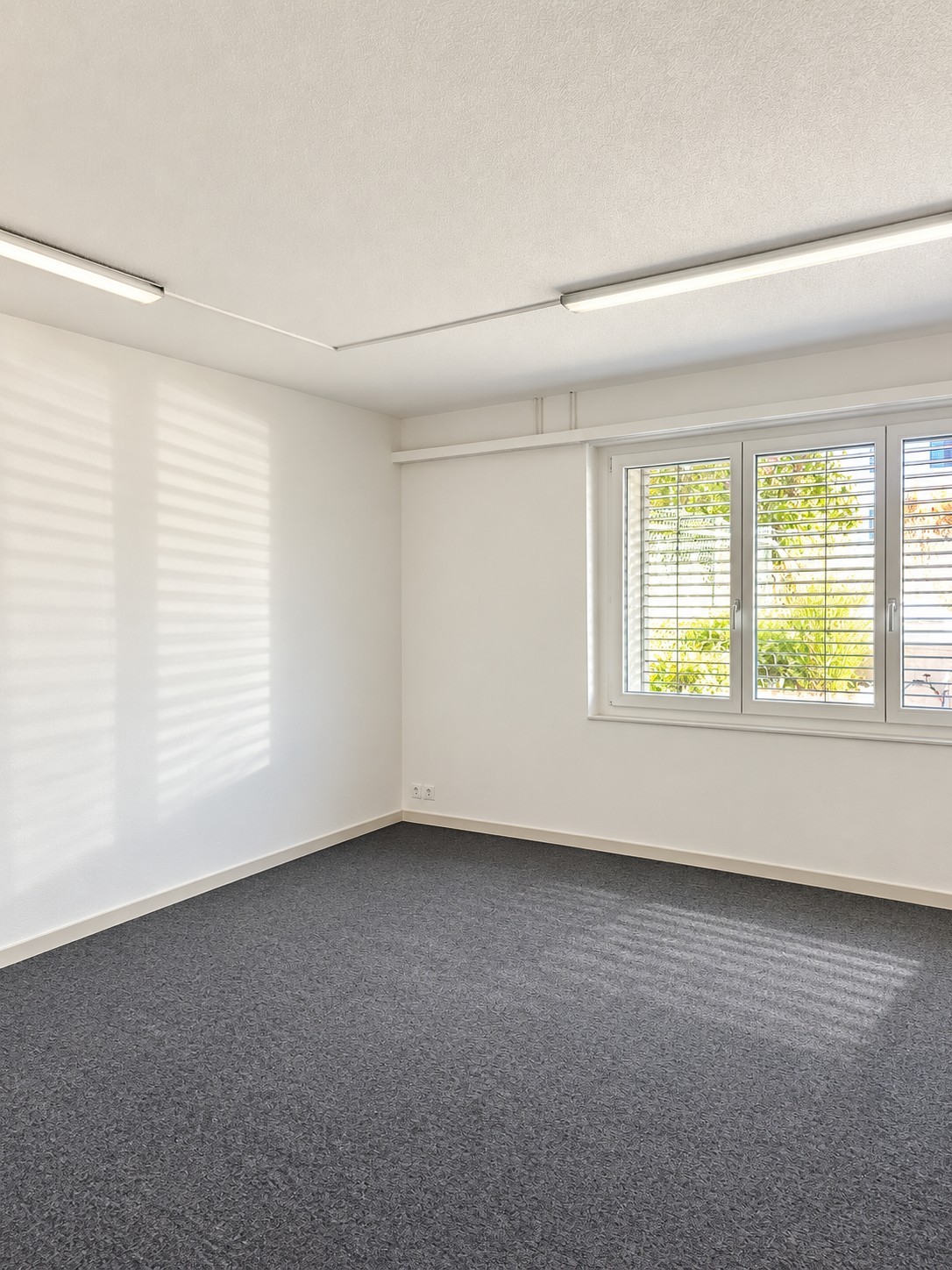 255m² office