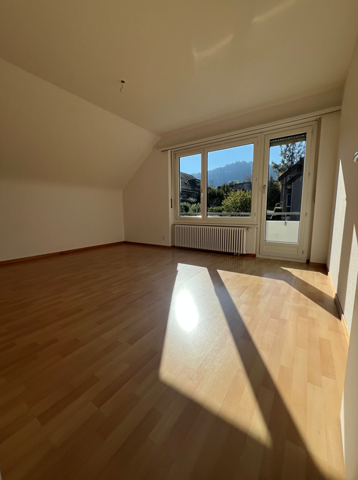 4 ½ rooms apartment