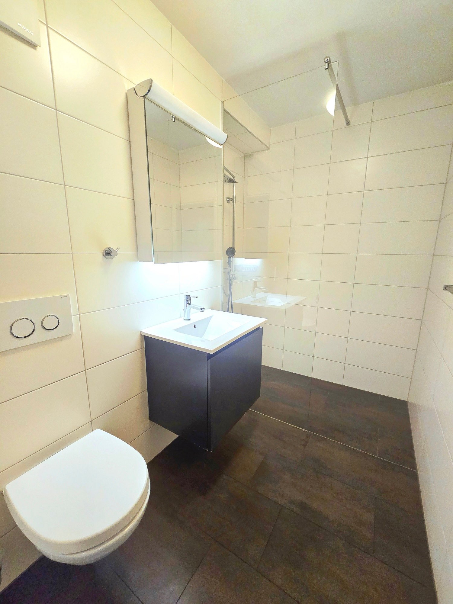 2 ½ rooms apartment