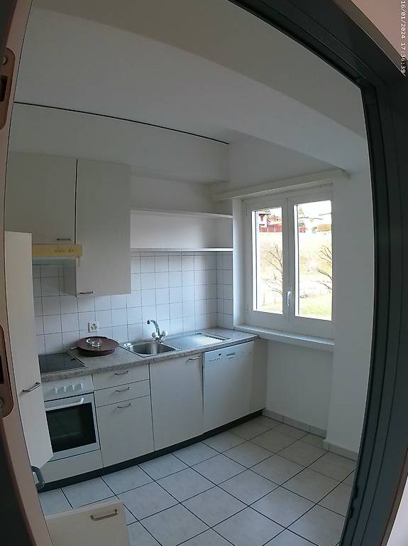 3 ½ Zimmer-Wohnung