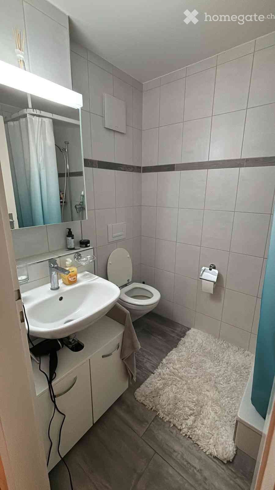1 ½ rooms apartment, Foto 5 von 5