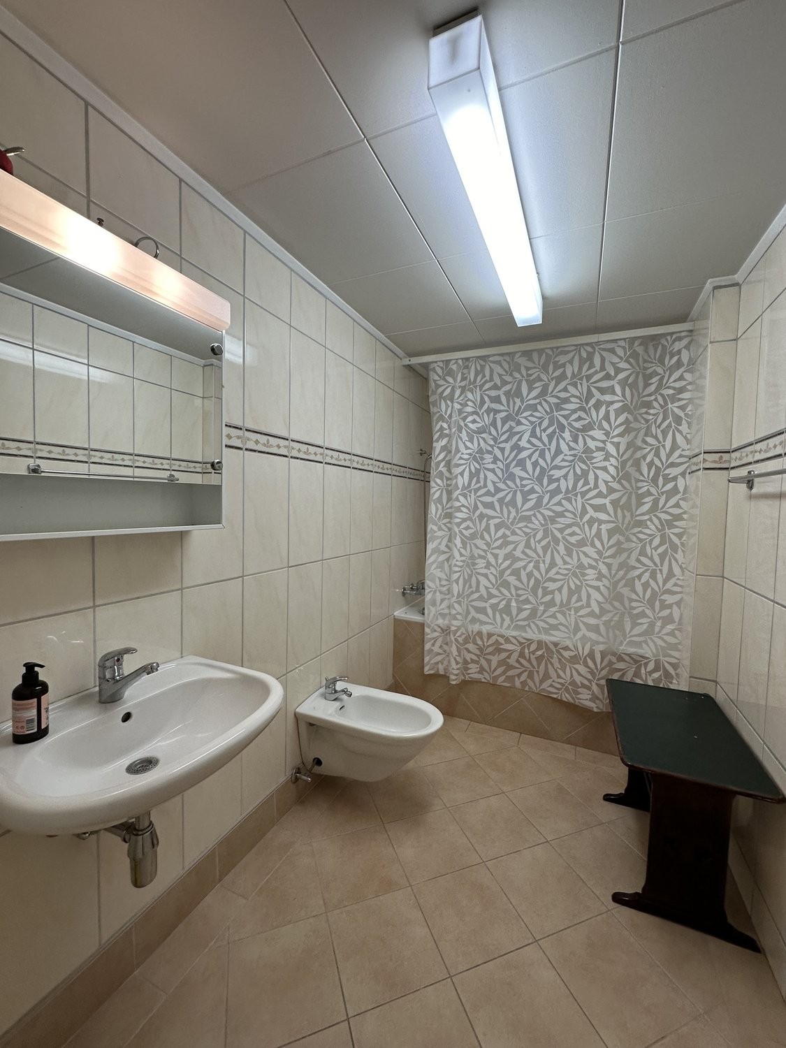 4 ½ rooms apartment (6)