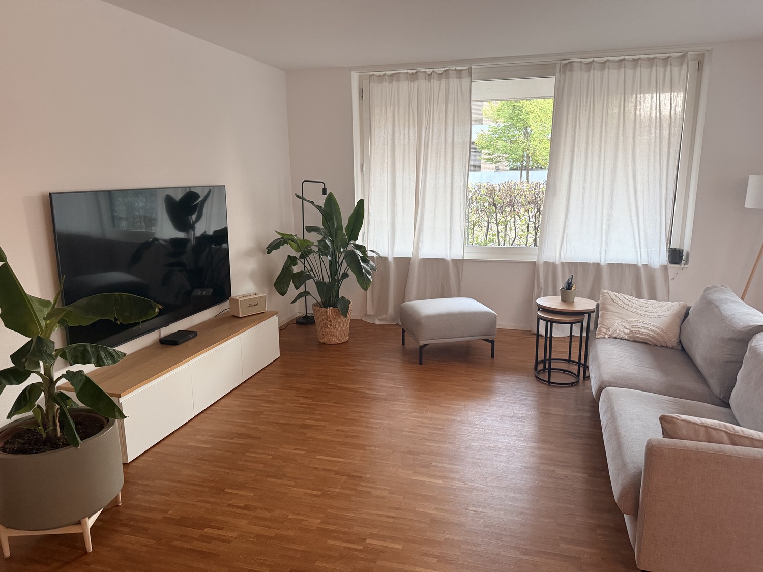 Room in a shared flat