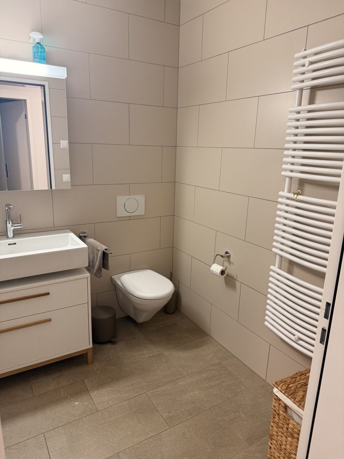 Room in a shared flat