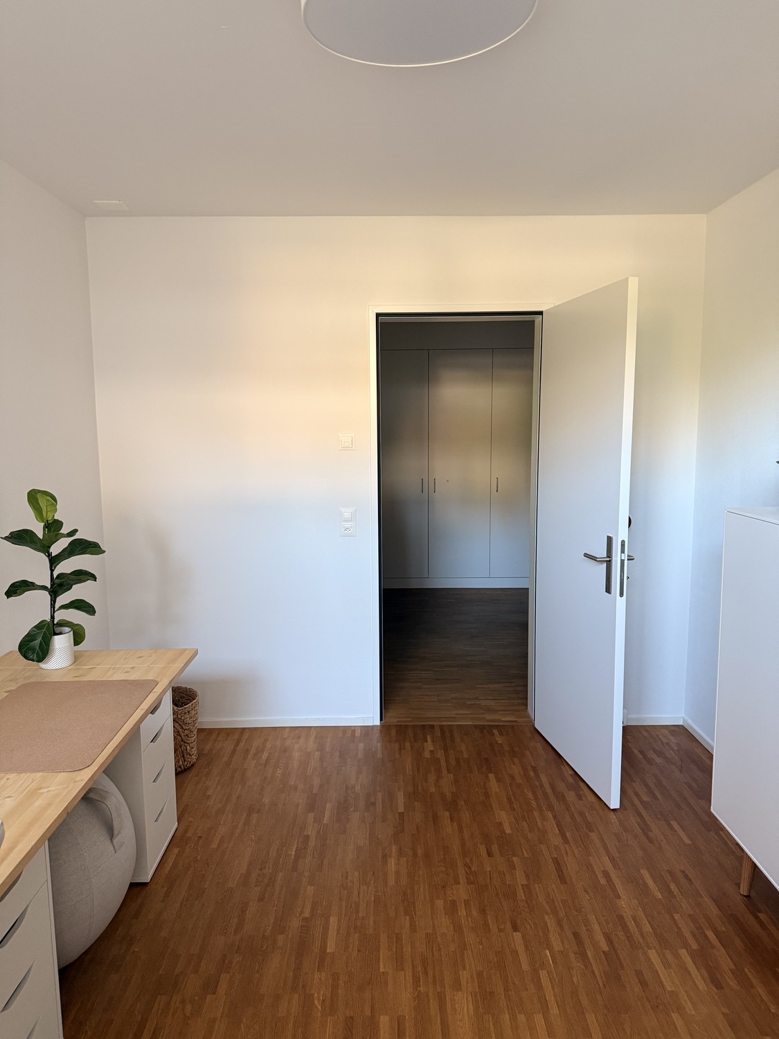 Room in a shared flat