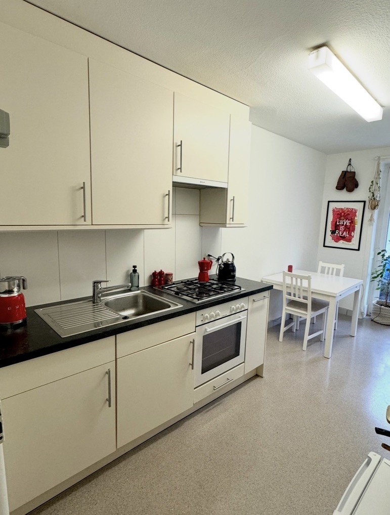 Appartamento di 2 ½ locali