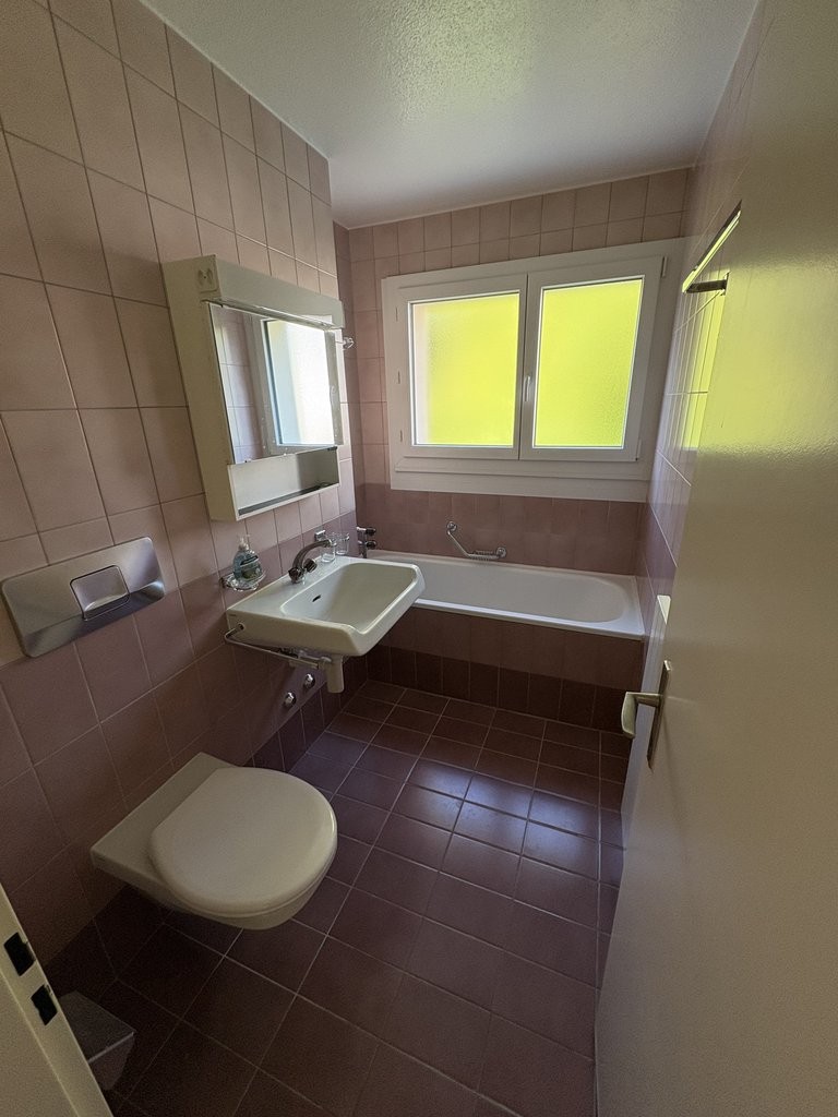 3 ½ Zimmer-Wohnung