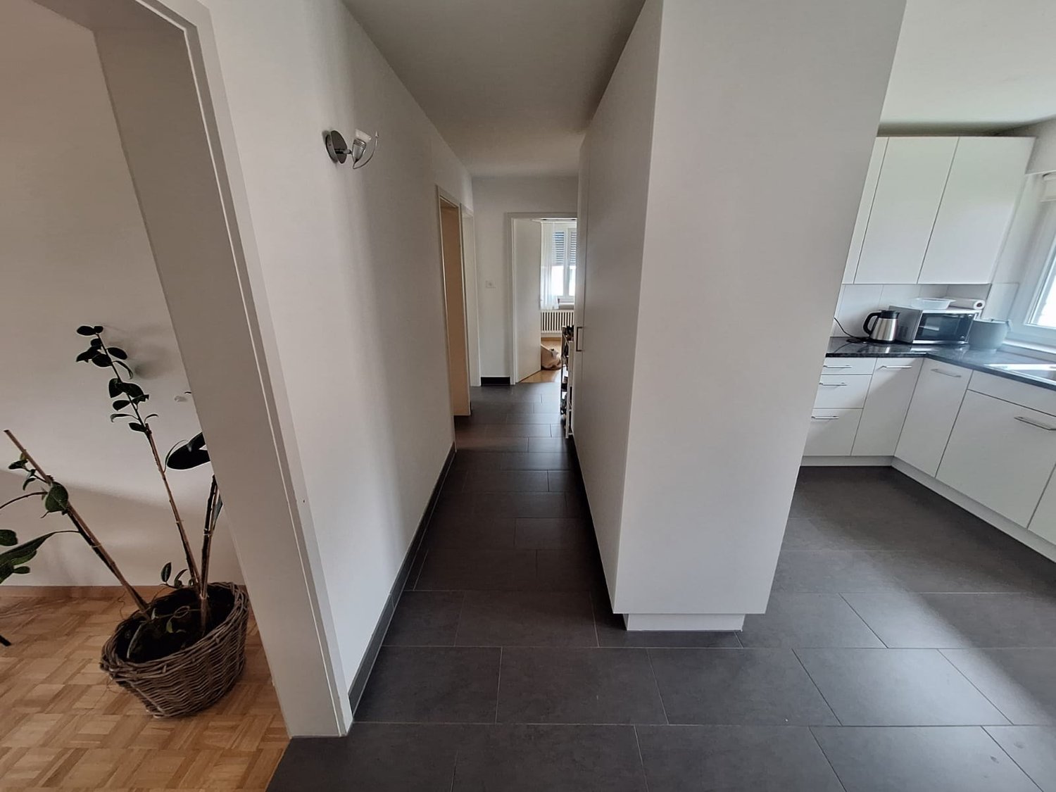 Room in a shared flat