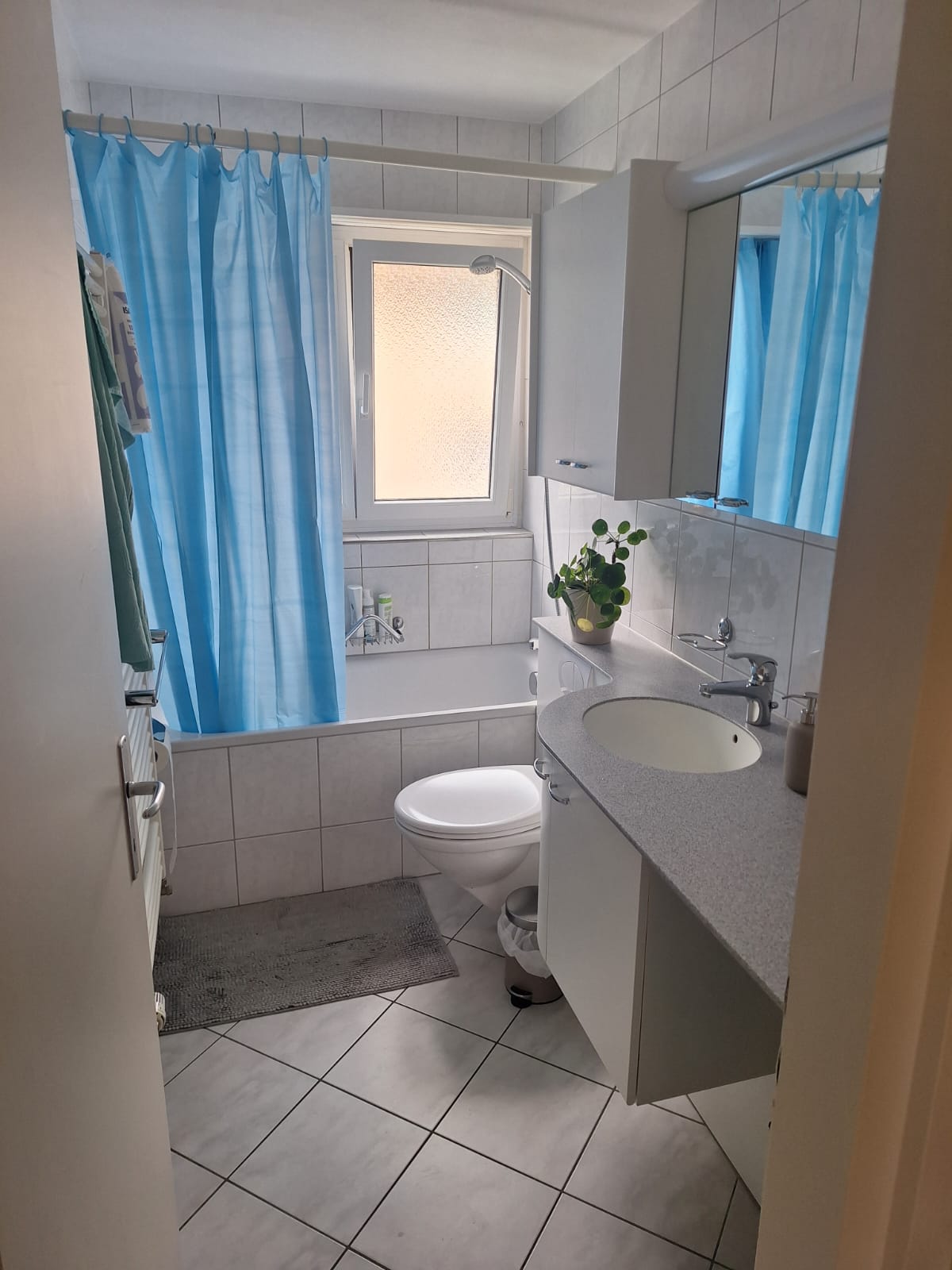 Room in a shared flat