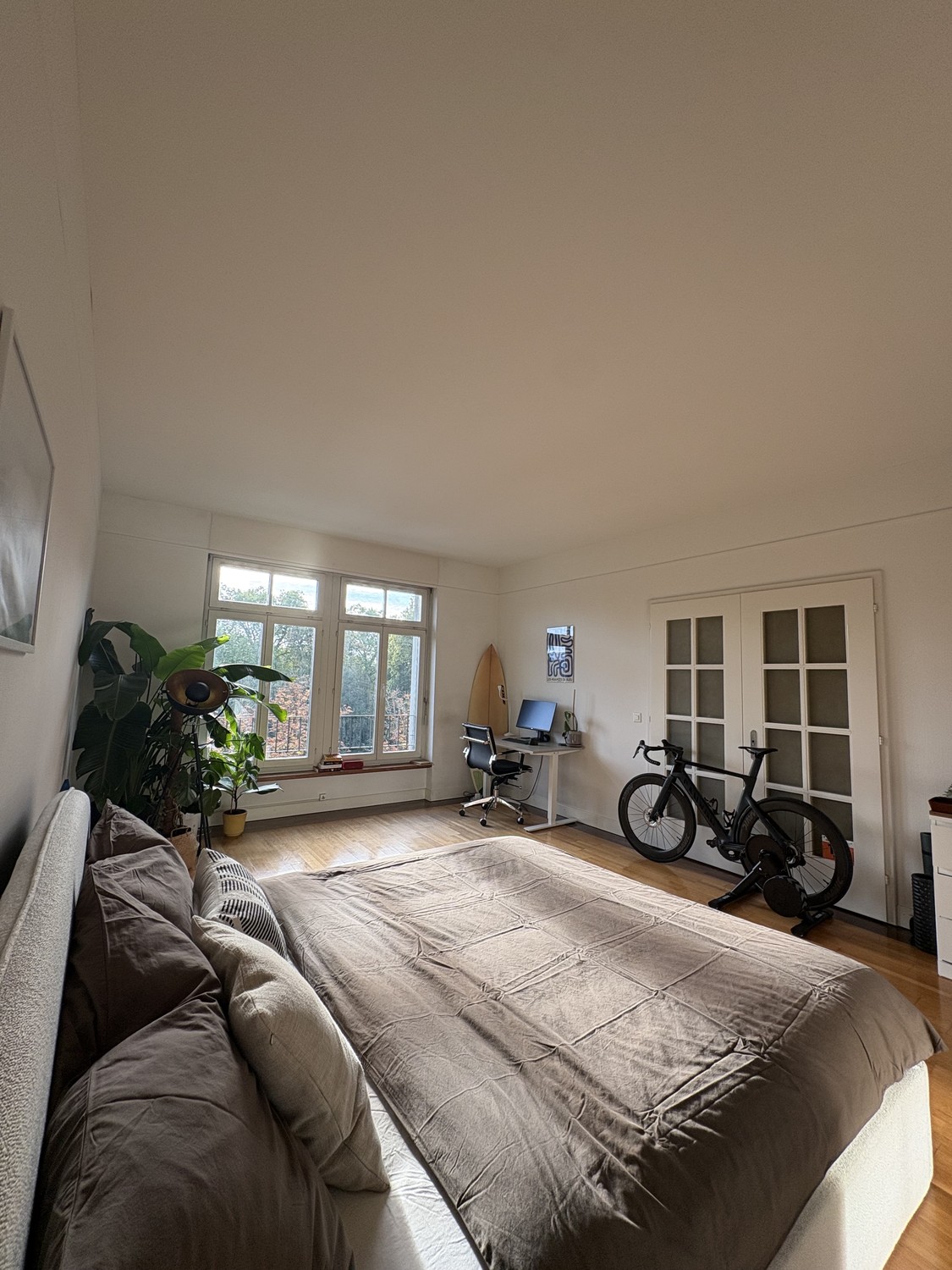 Room in a shared flat