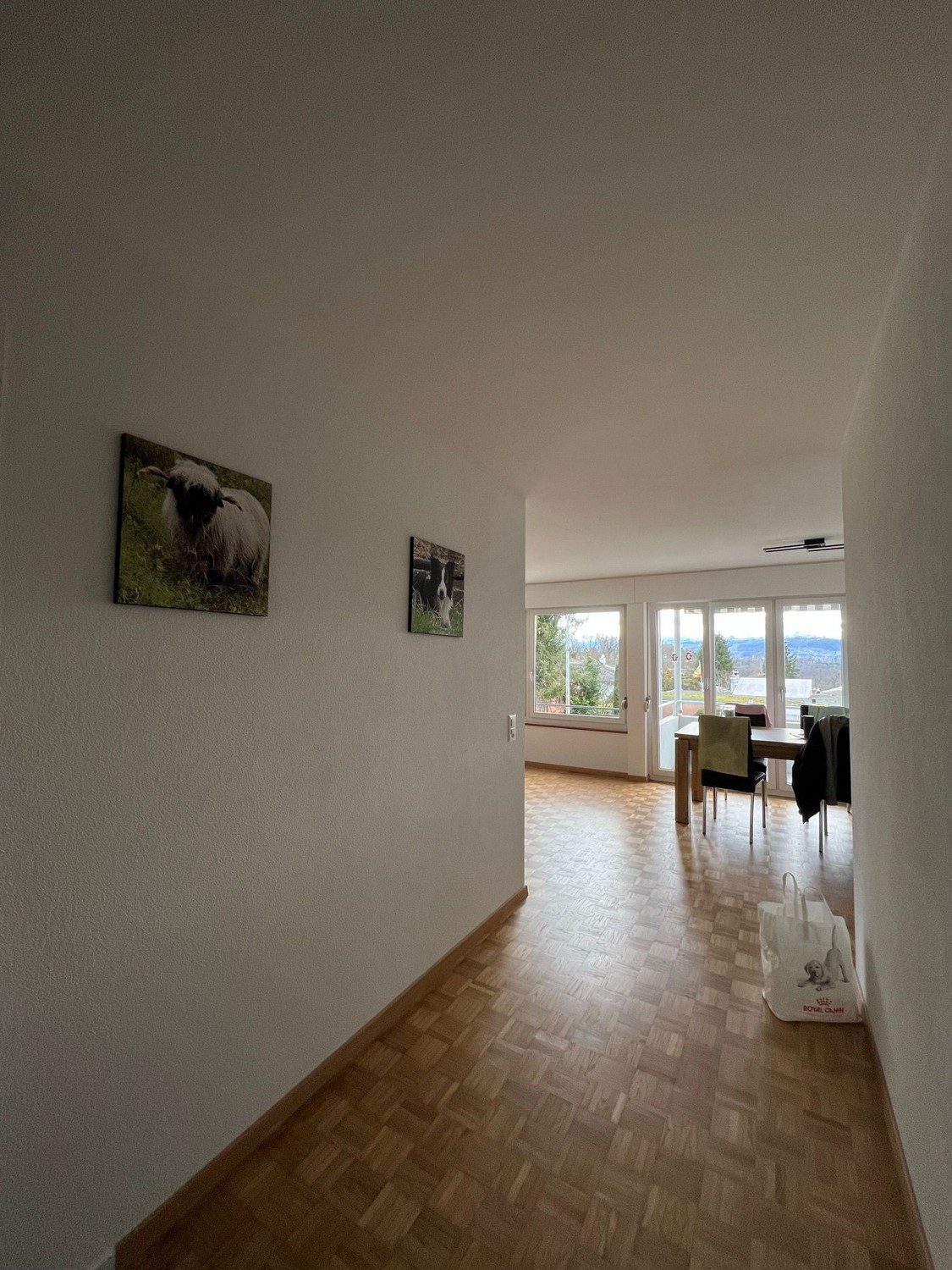 Room in a shared flat