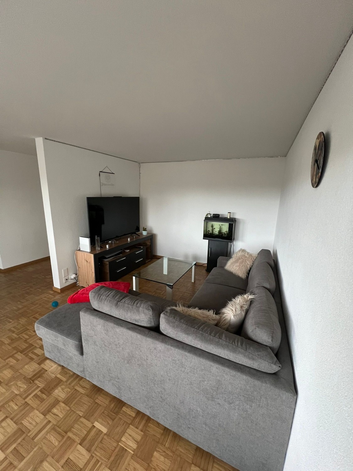 Room in a shared flat
