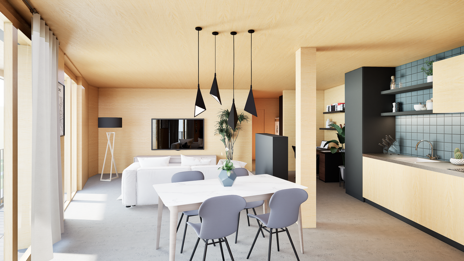 Appartement de 2 ½ pièces