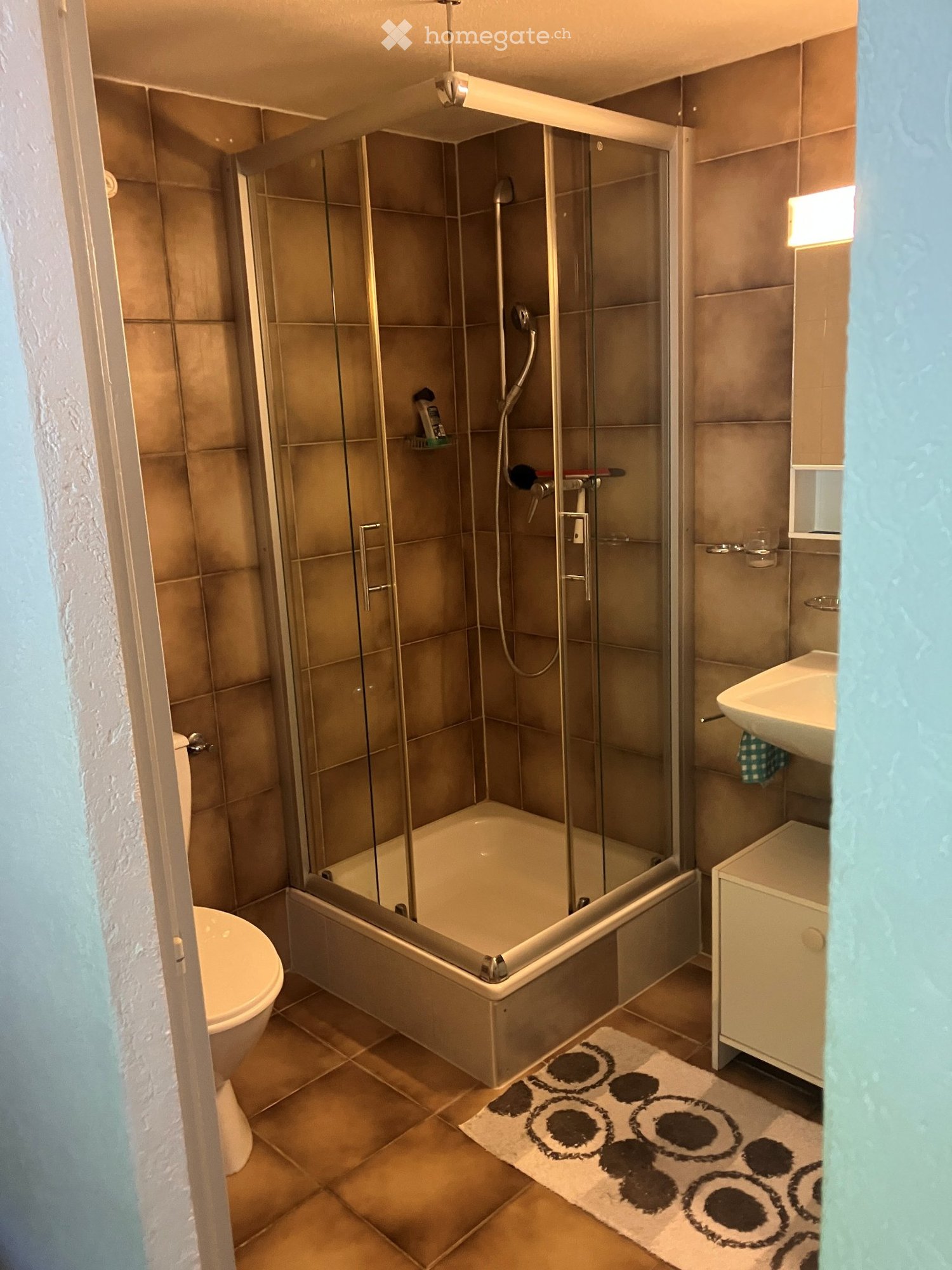 1 ½ Zimmer Wohnung