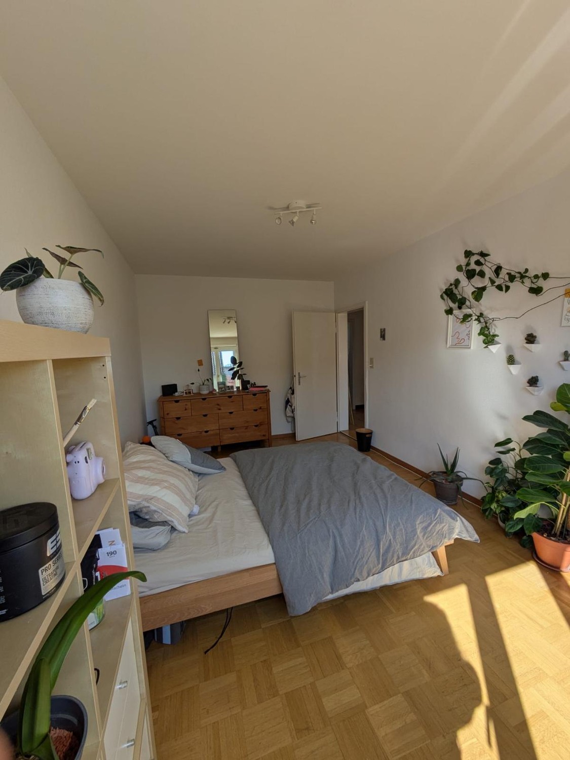 Room in a shared flat