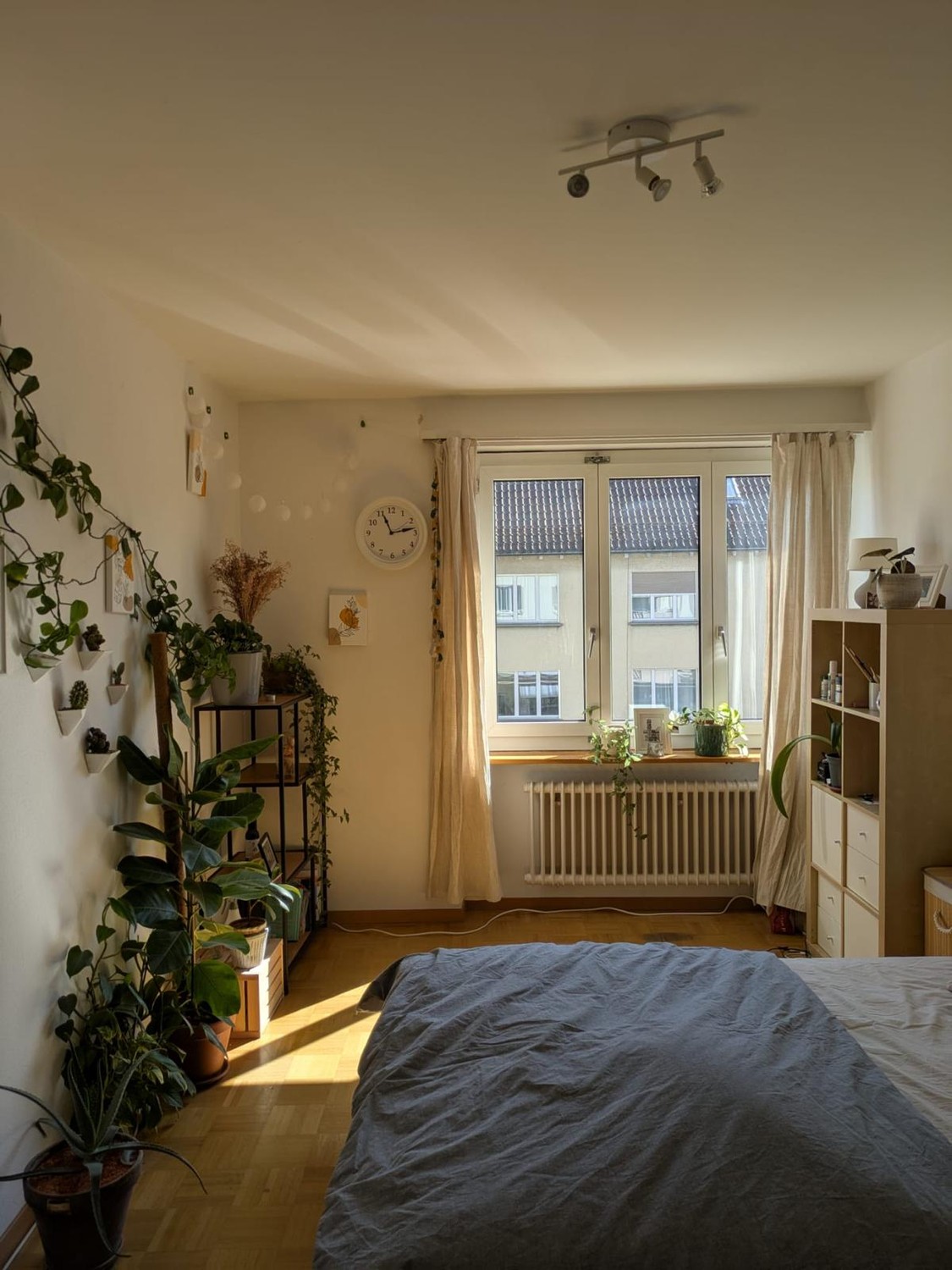 Room in a shared flat, photo 2 sur 2