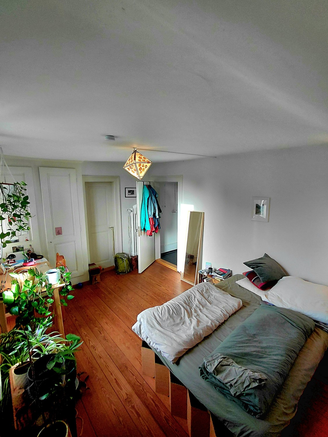 Room in a shared flat