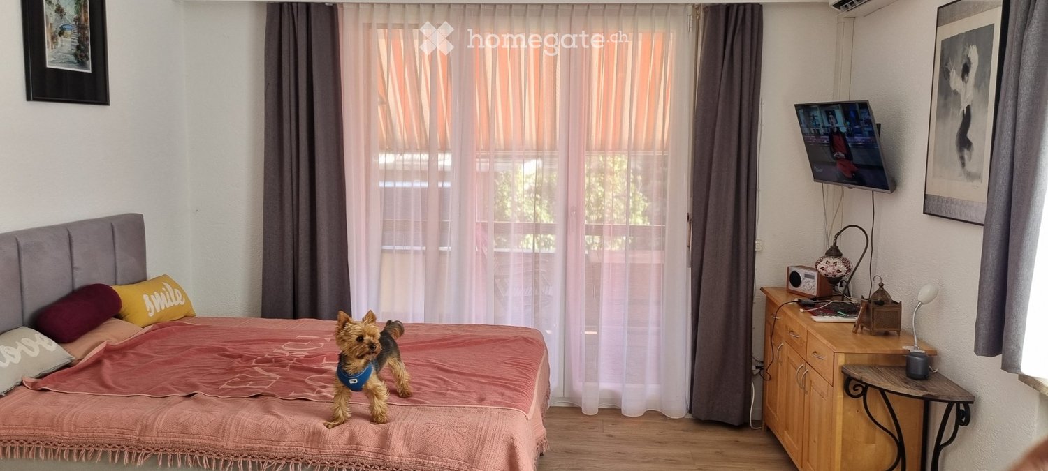 1 ½ Zimmer-Wohnung