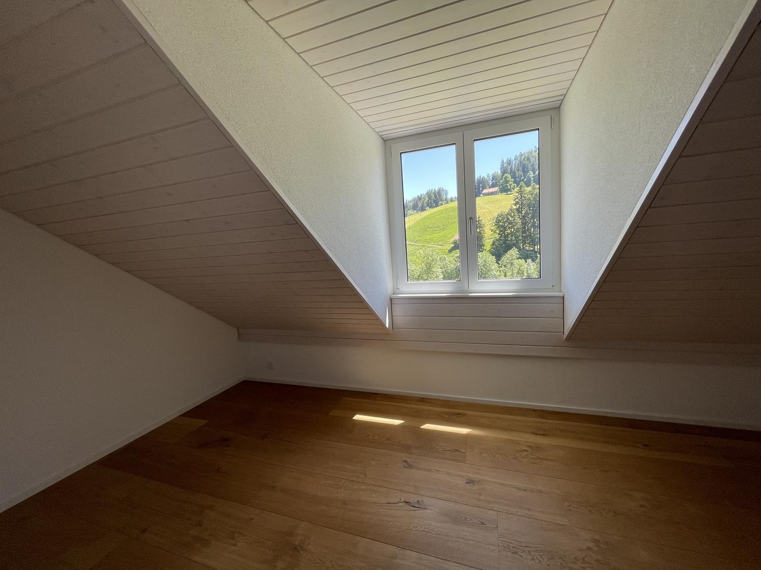 4 ½ rooms apartment (9)