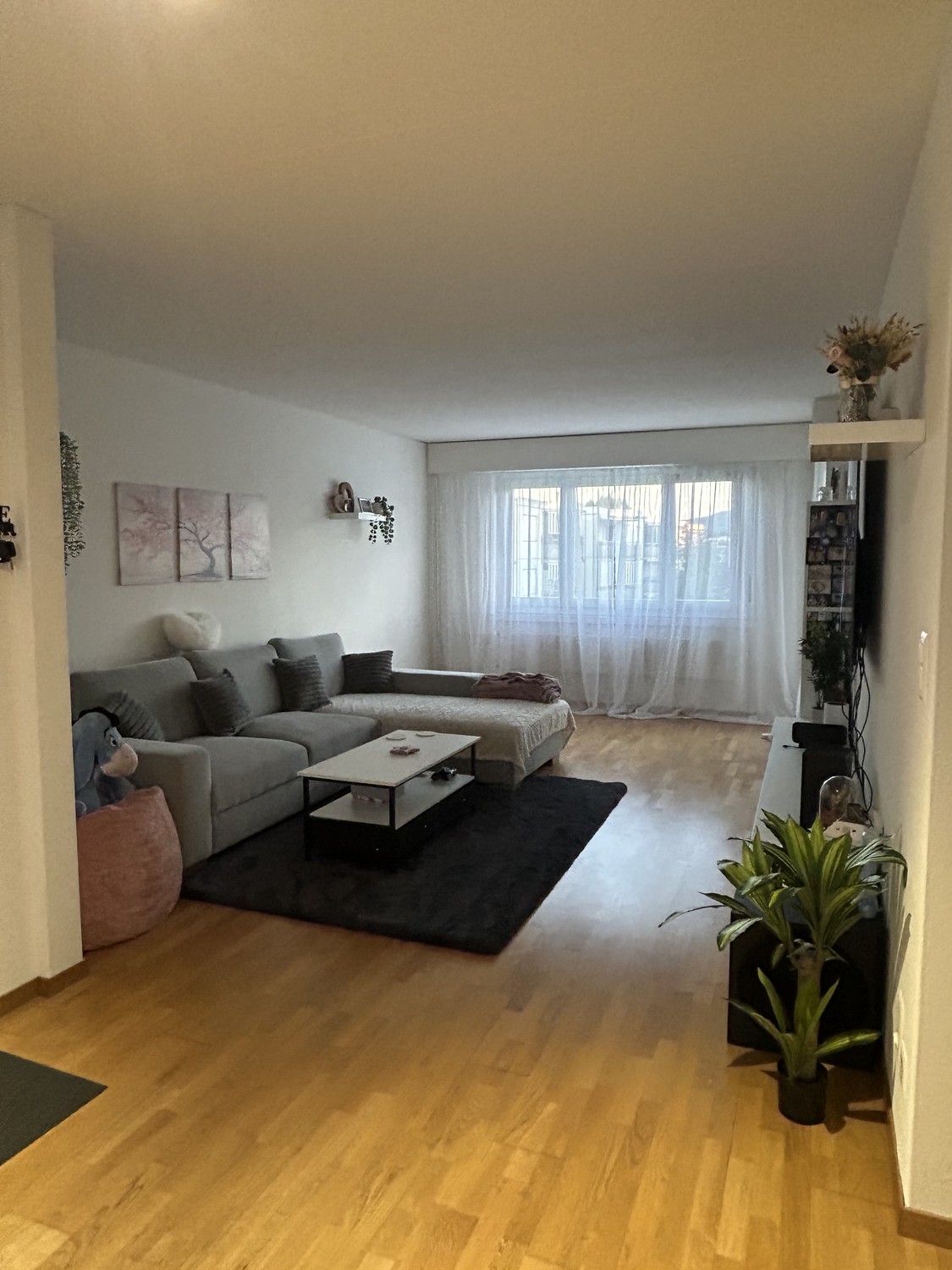 Appartement de 4 ½ pièces