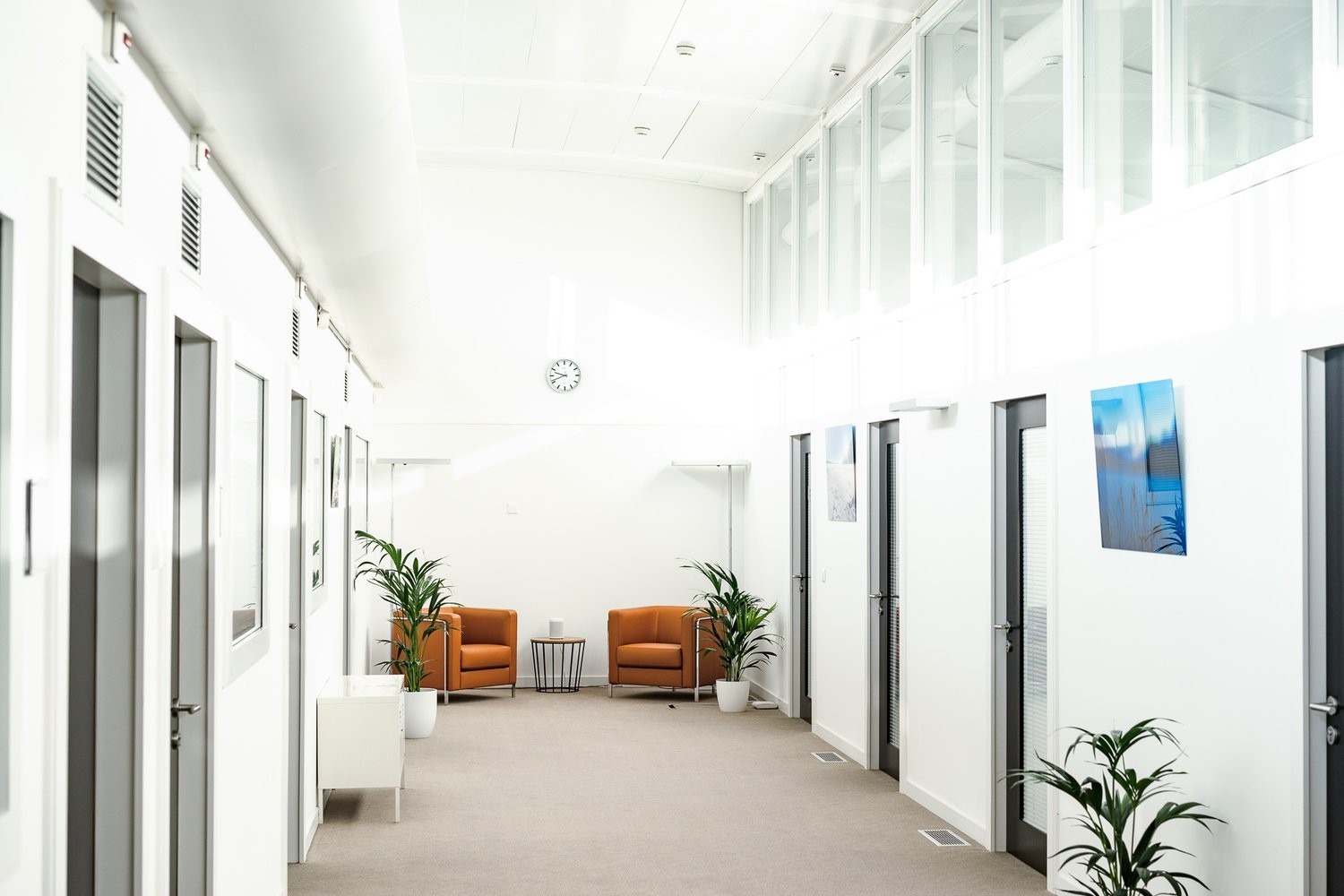 ufficio di 503m²