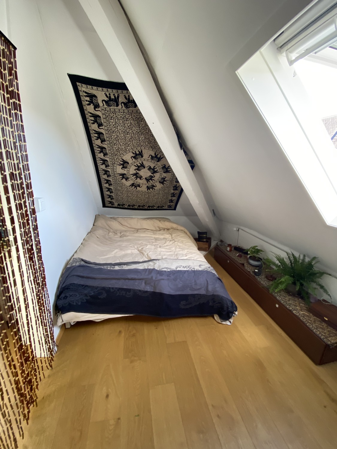 Room in a shared flat, Foto 3 von 7