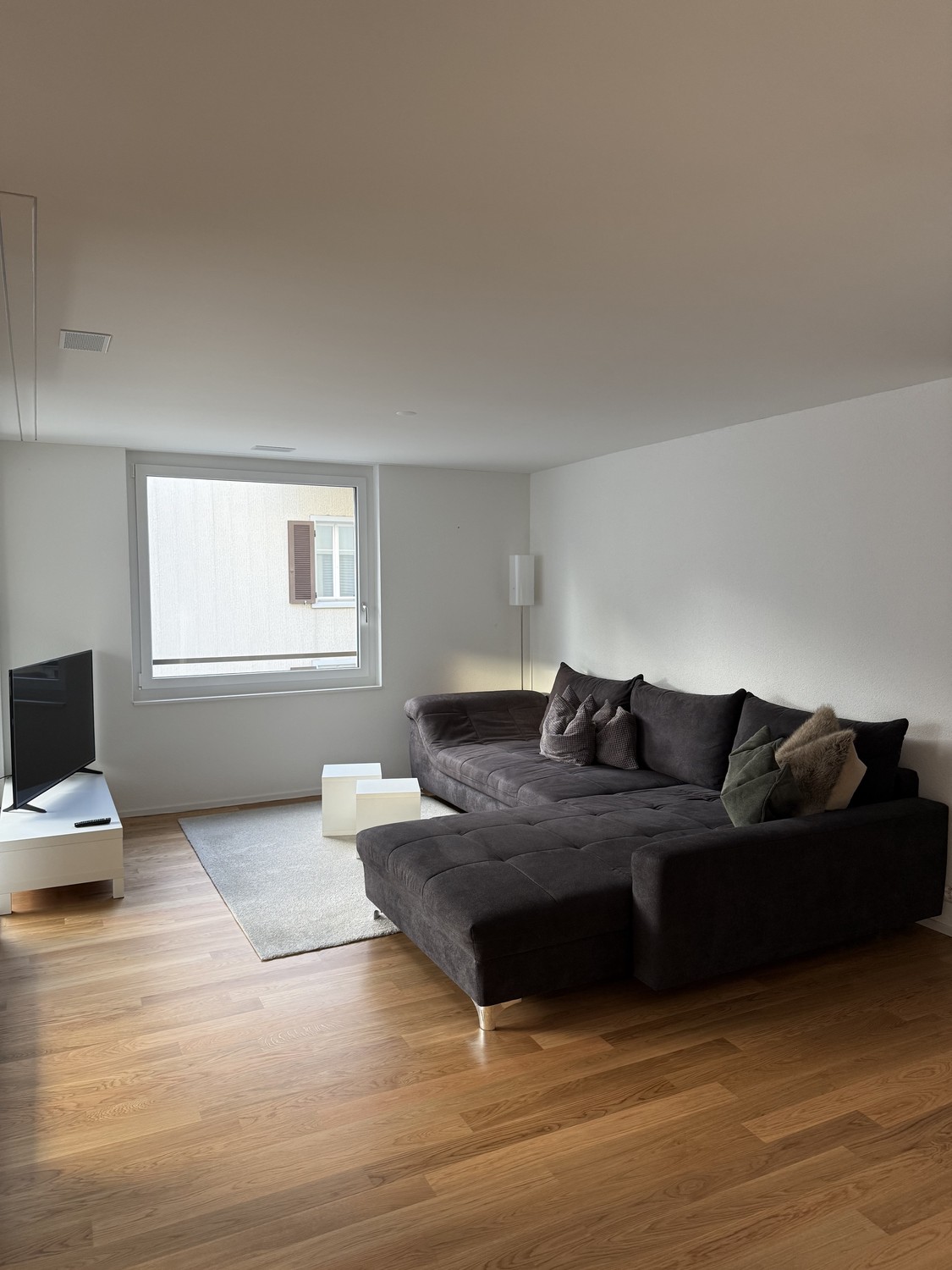 3 ½ Zimmer Wohnung