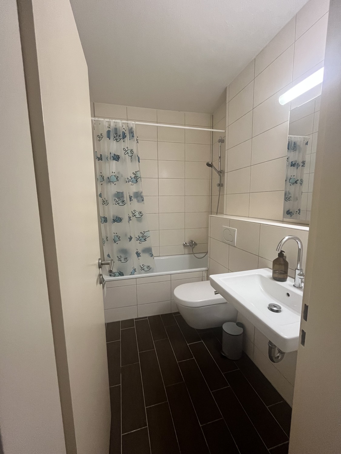 2 ½ rooms apartment