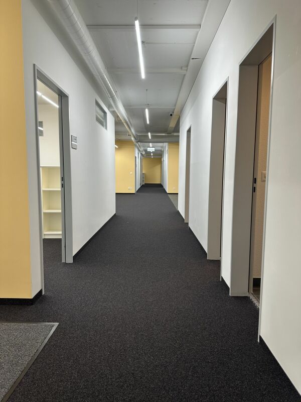 670m² commercial, Foto 4 von 10