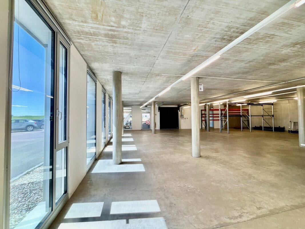 1000m² commercial, photo 4 of 10