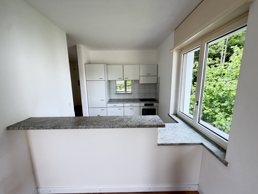 3 ½ Zimmer Wohnung