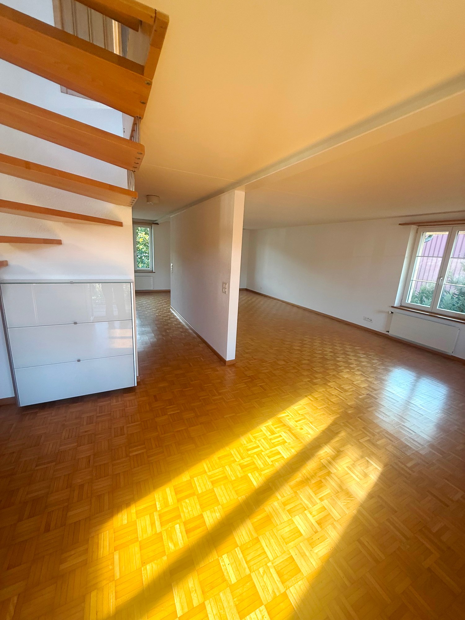 Duplex de 5 ½ pièces