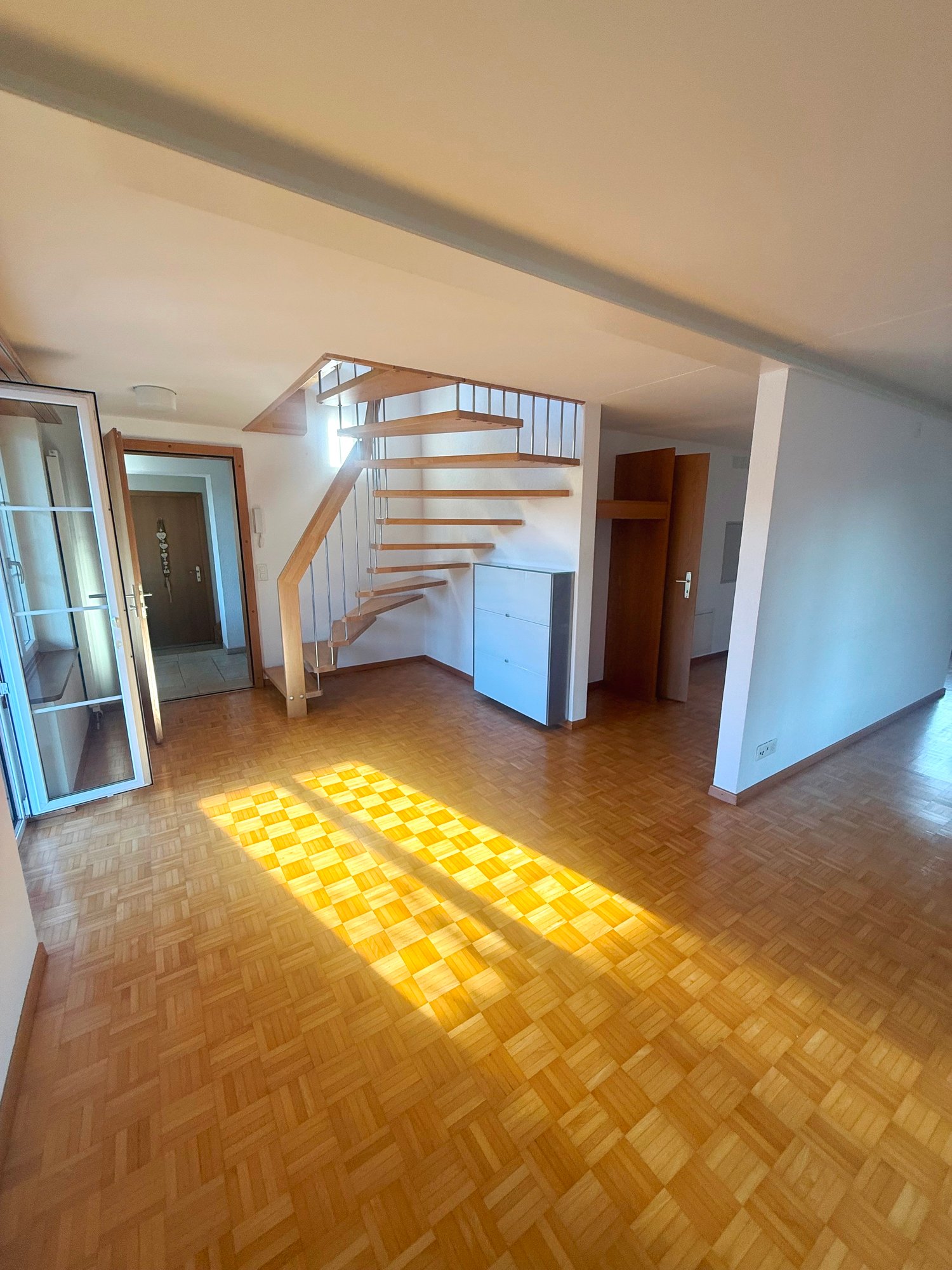 Duplex de 5 ½ pièces