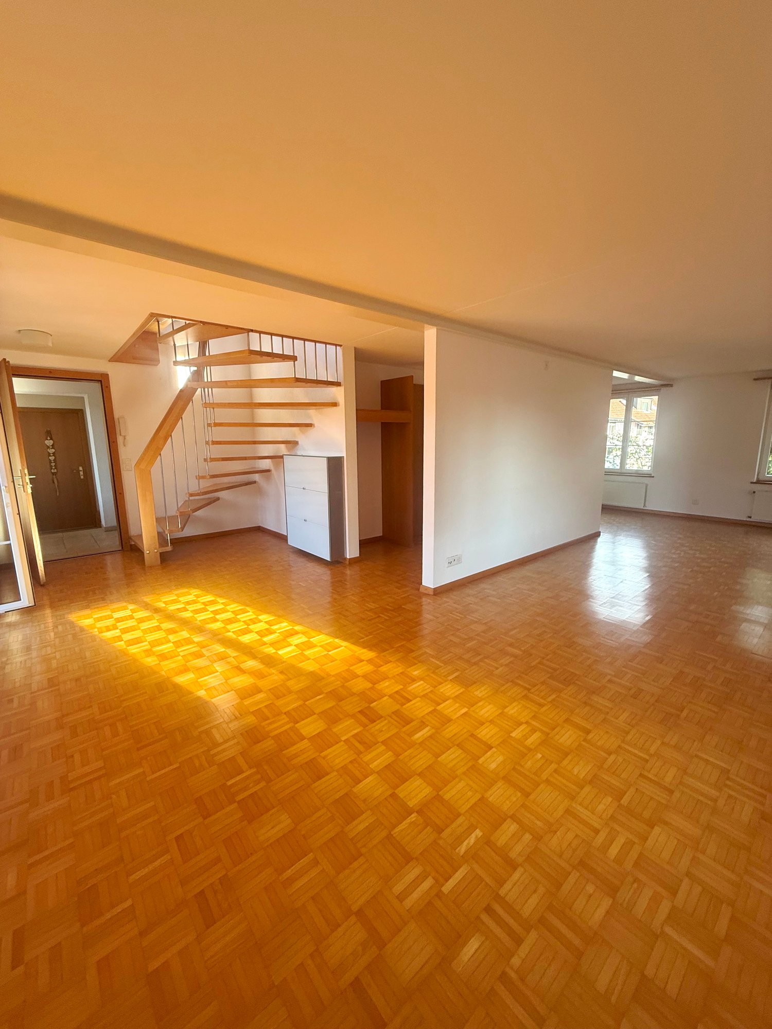Duplex de 5 ½ pièces