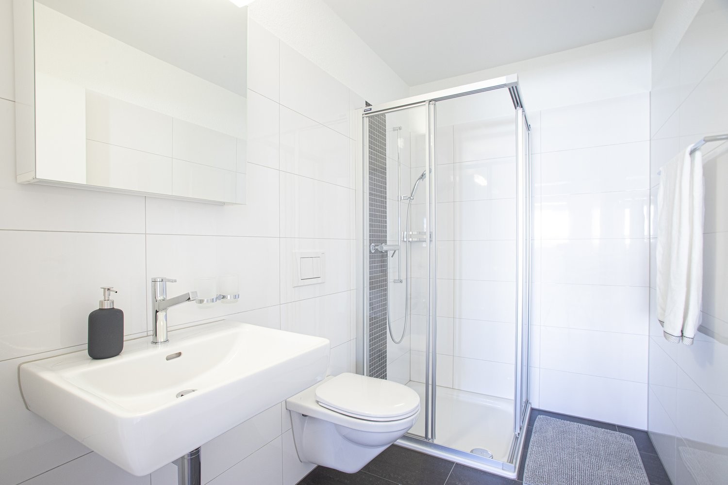 4 ½ rooms apartment