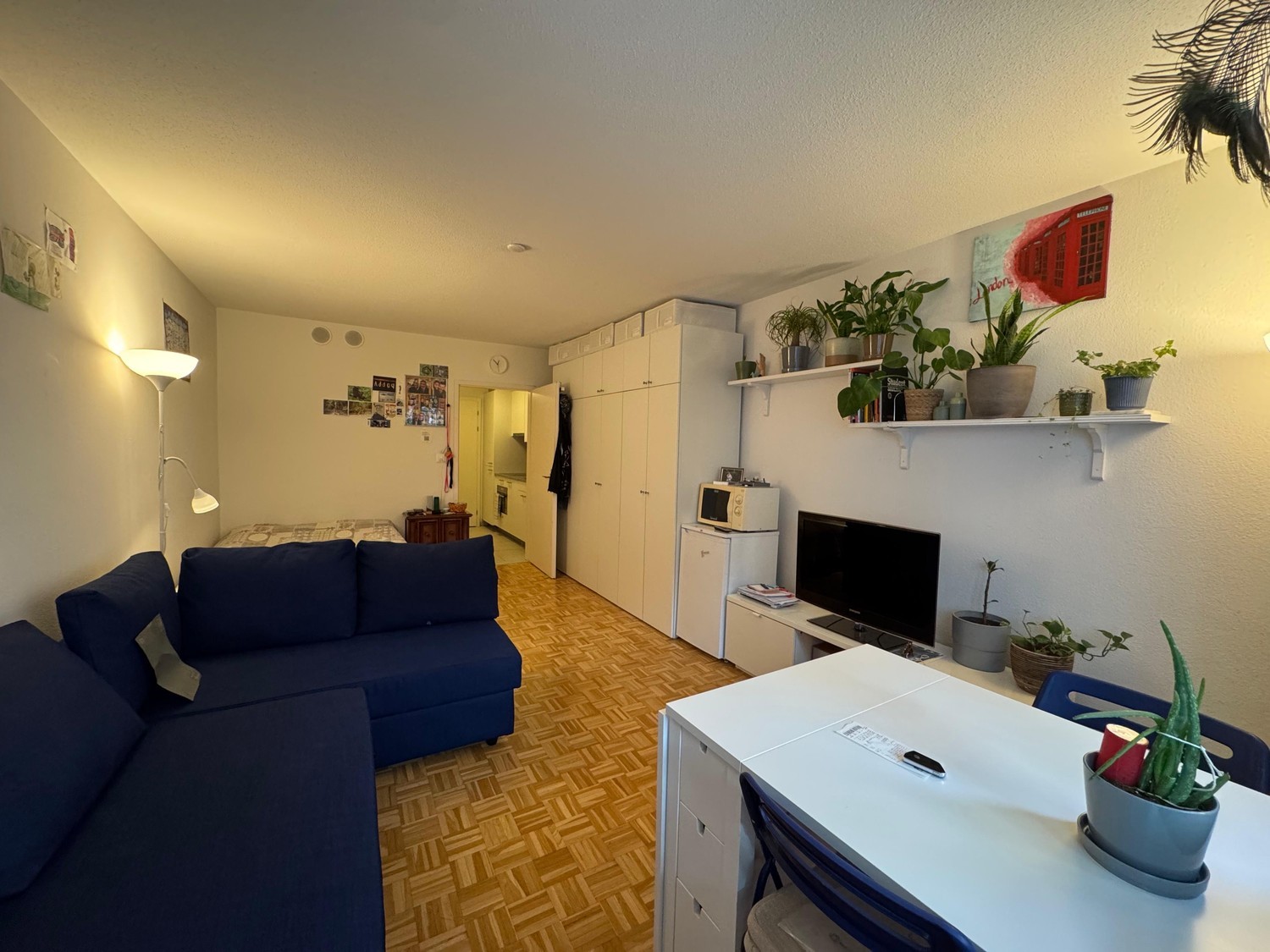 2 ½ Zimmer-Wohnung