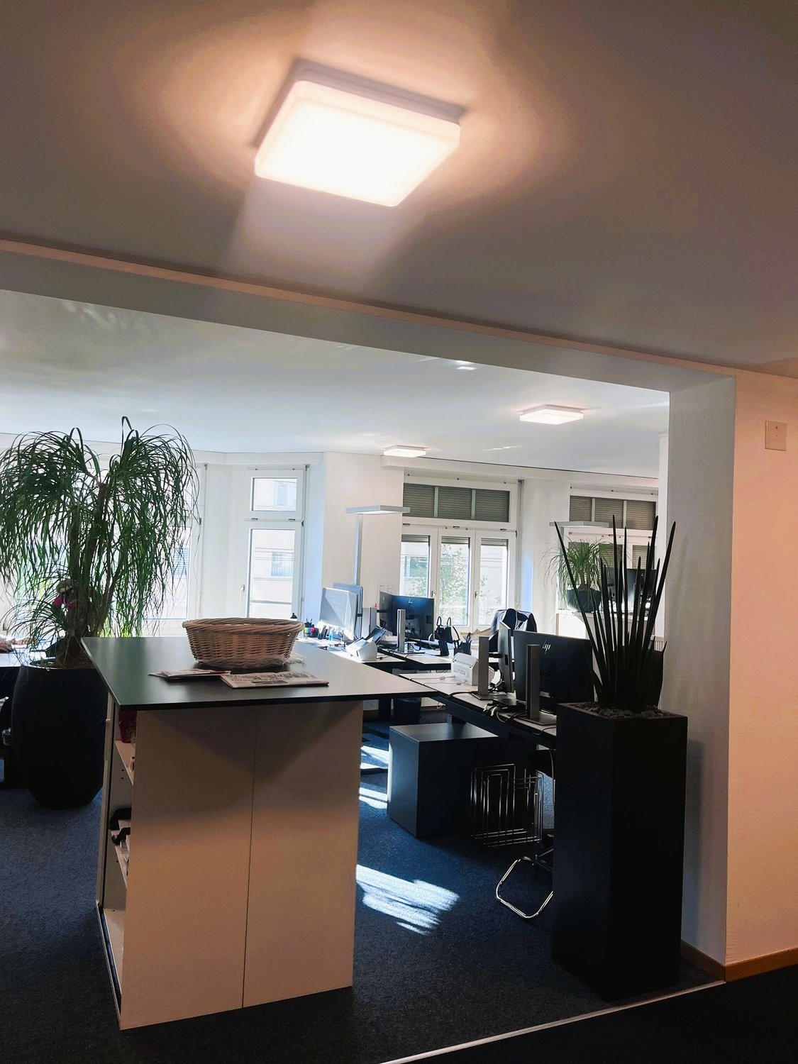 236m² office, Foto 4 von 8