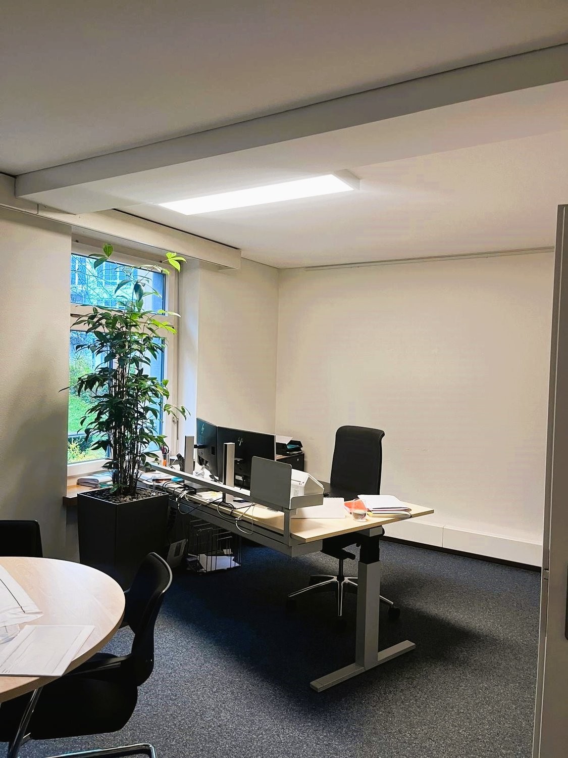236m² office, Foto 5 von 8