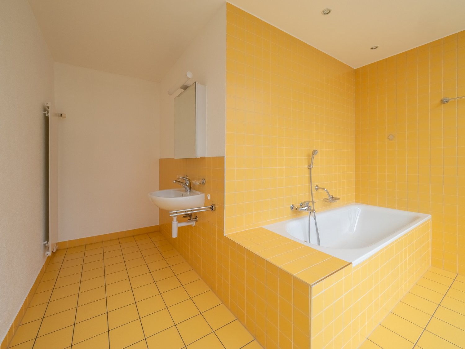 3 ½ Zimmer-Wohnung
