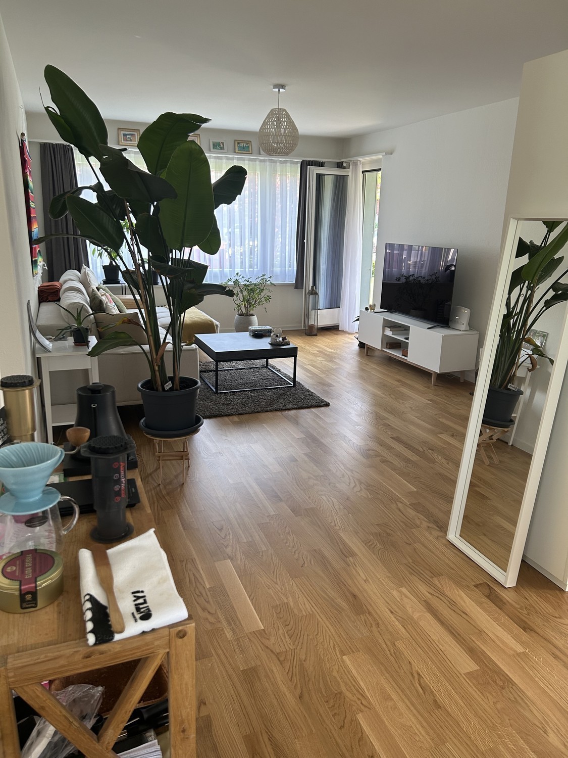 Chambre dans une colocation
