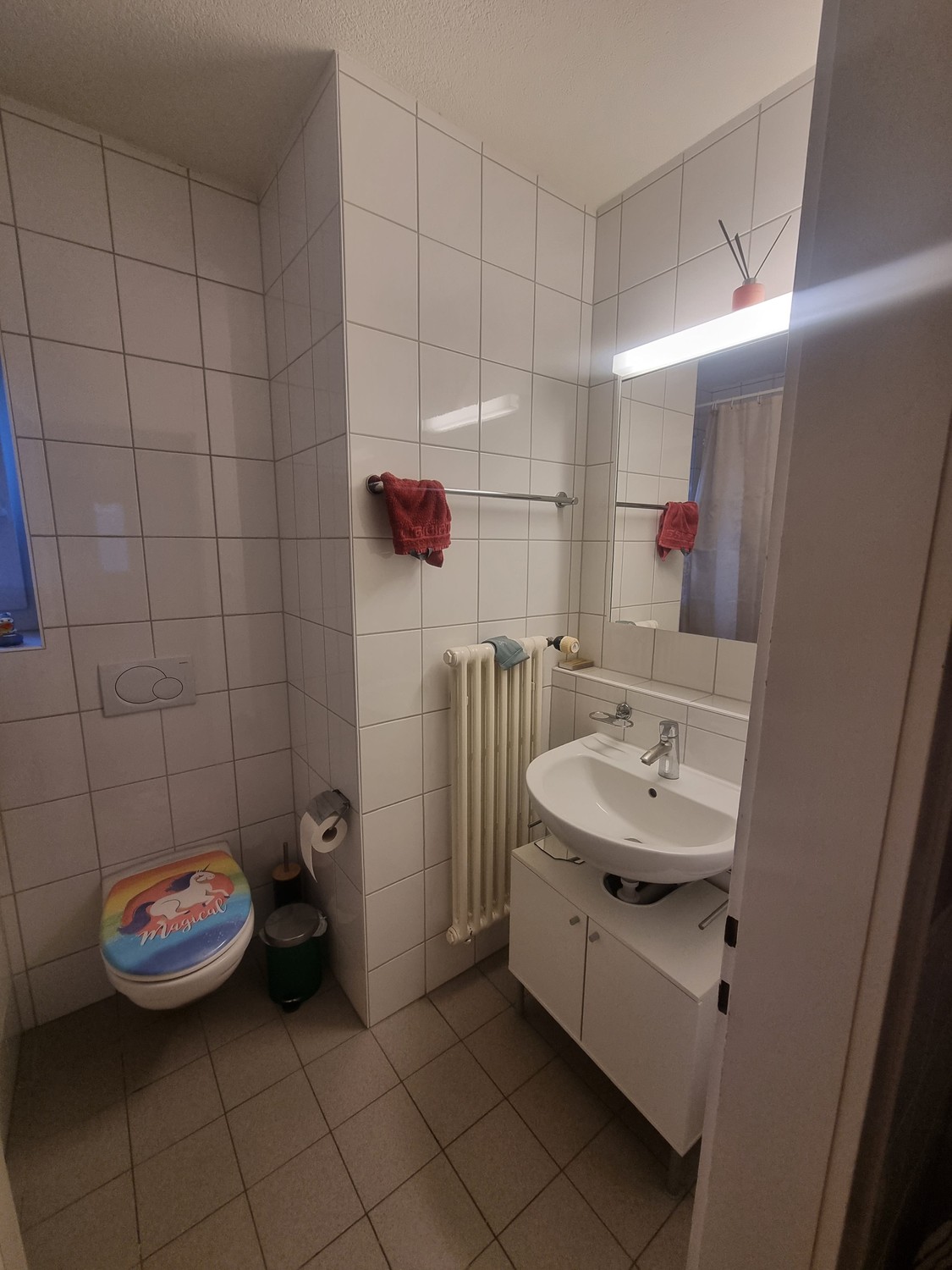 Room in a shared flat