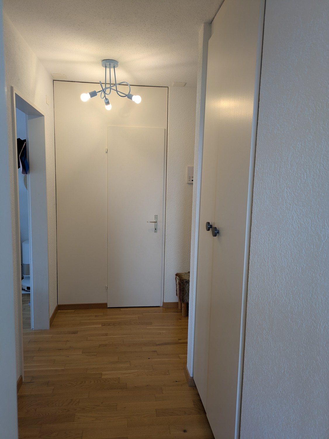 Appartement de 1 ½ pièce, photo 4 sur 7